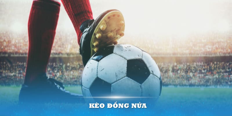 Hướng dẫn cách đọc kèo cược đồng nửa của BET88