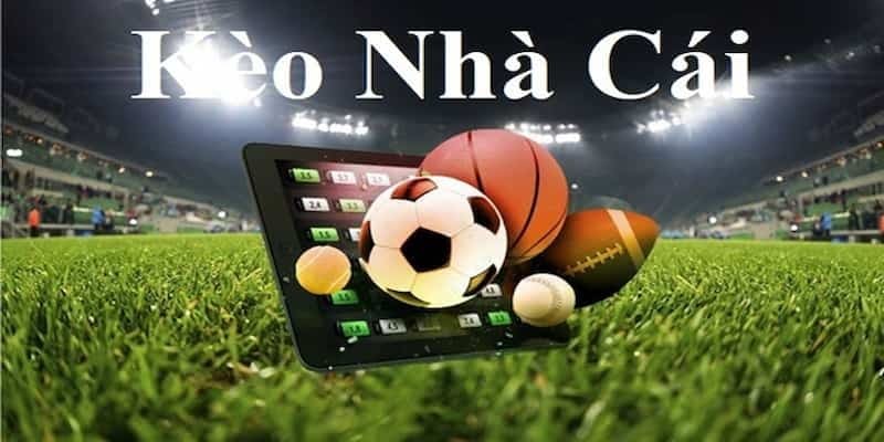 Cách để bạn soi kèo nhà cái chuẩn nhất 2025