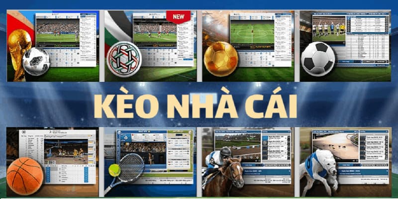 Khái niệm cần biết khi thành viên BET88 soi kèo