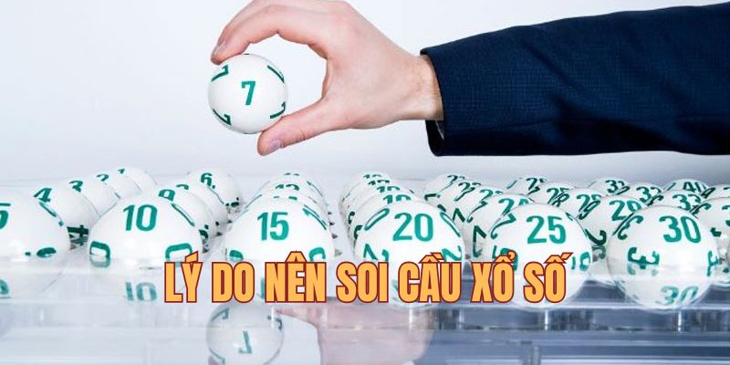 Lý do nên soi cầu khi cá cược xổ số trực tuyến